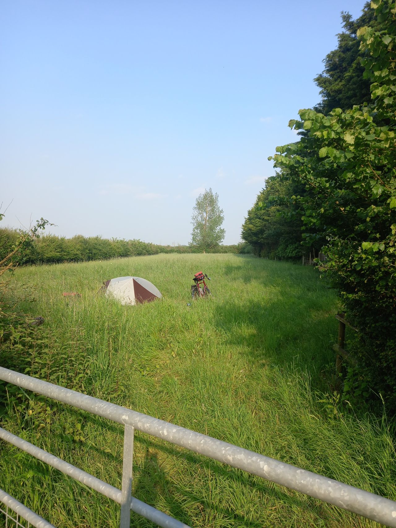 Ivy Cottage Campsite