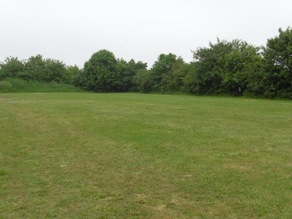 Janson Fishery Caravan and Camping