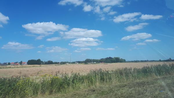 JJEB Farm