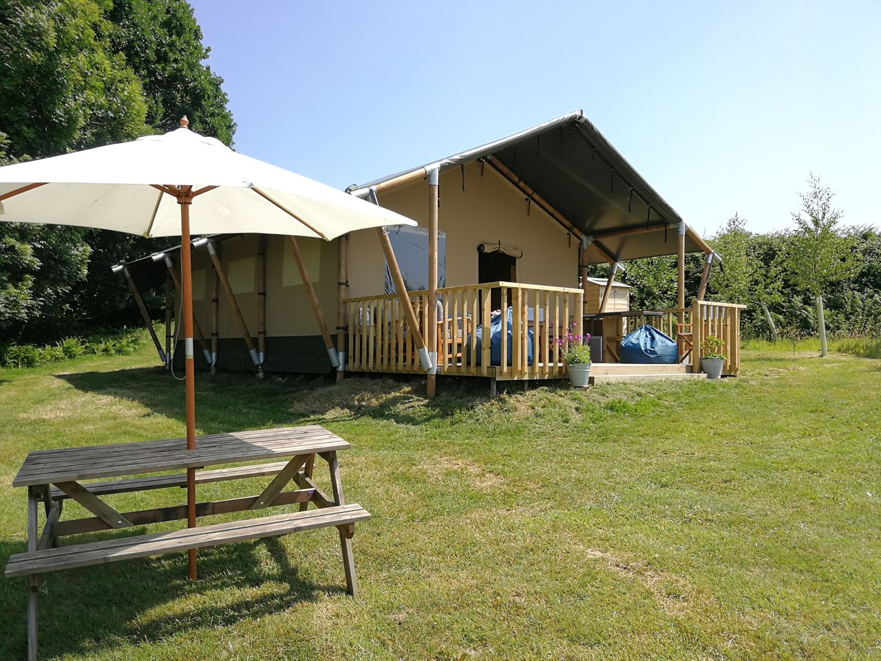 Jurassic Glamping