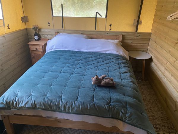 Jurassic Glamping