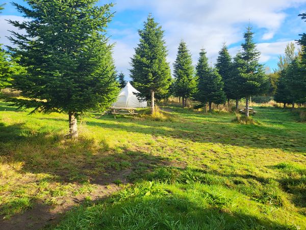 Kessock Caravan Park