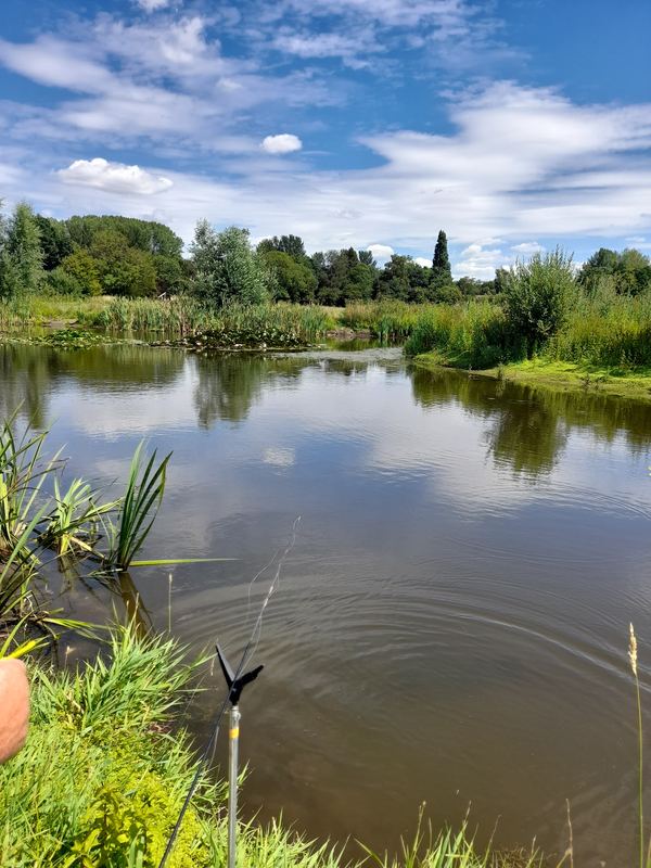 Kingfisher Meadows