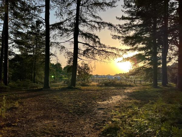Kings Forest Caravan and Camping Park