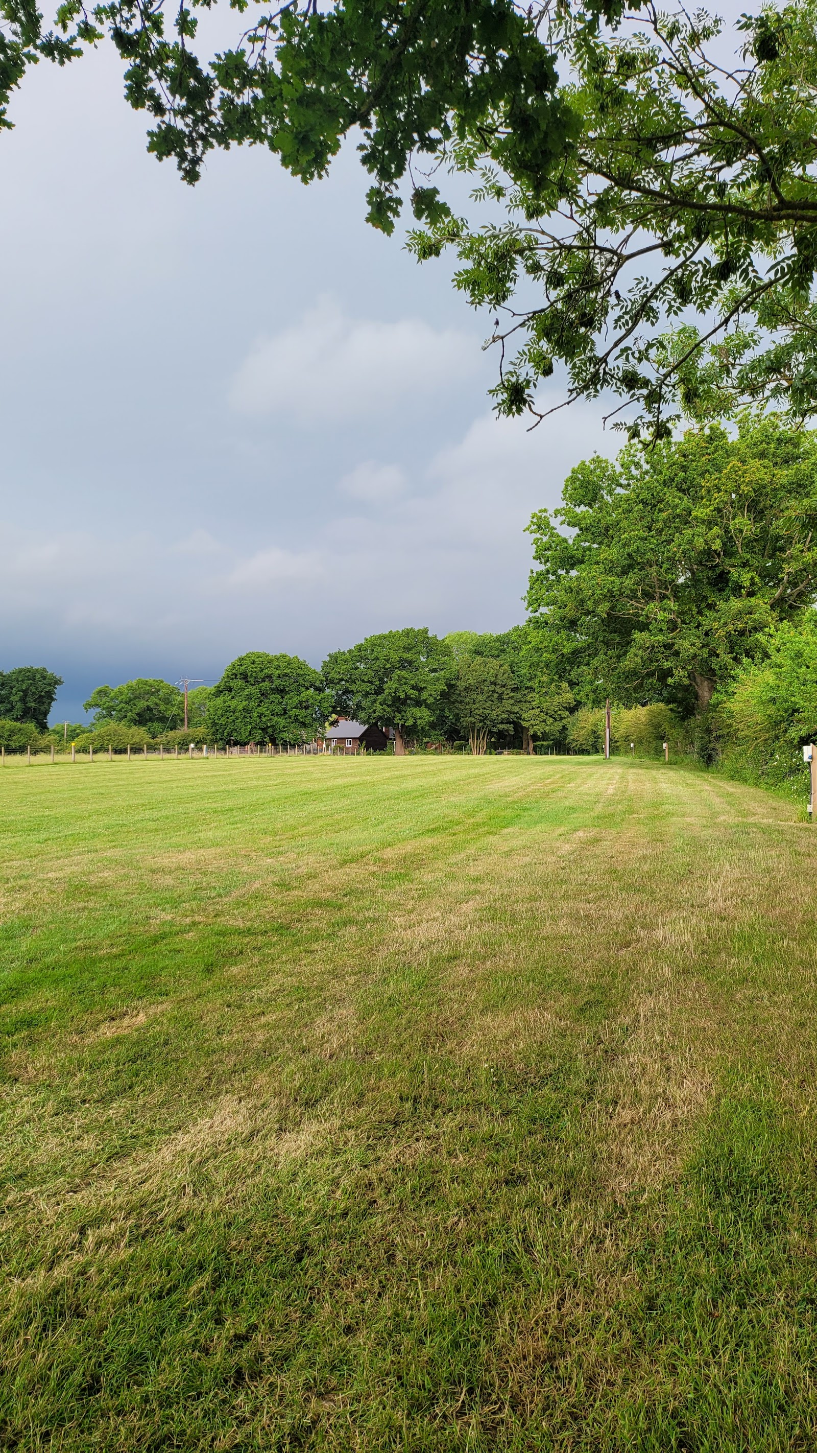 Kings Oak Farm