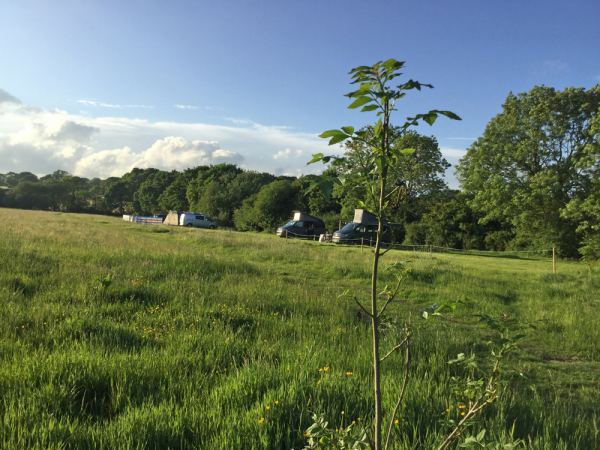 Kingsettle Camping Retreat