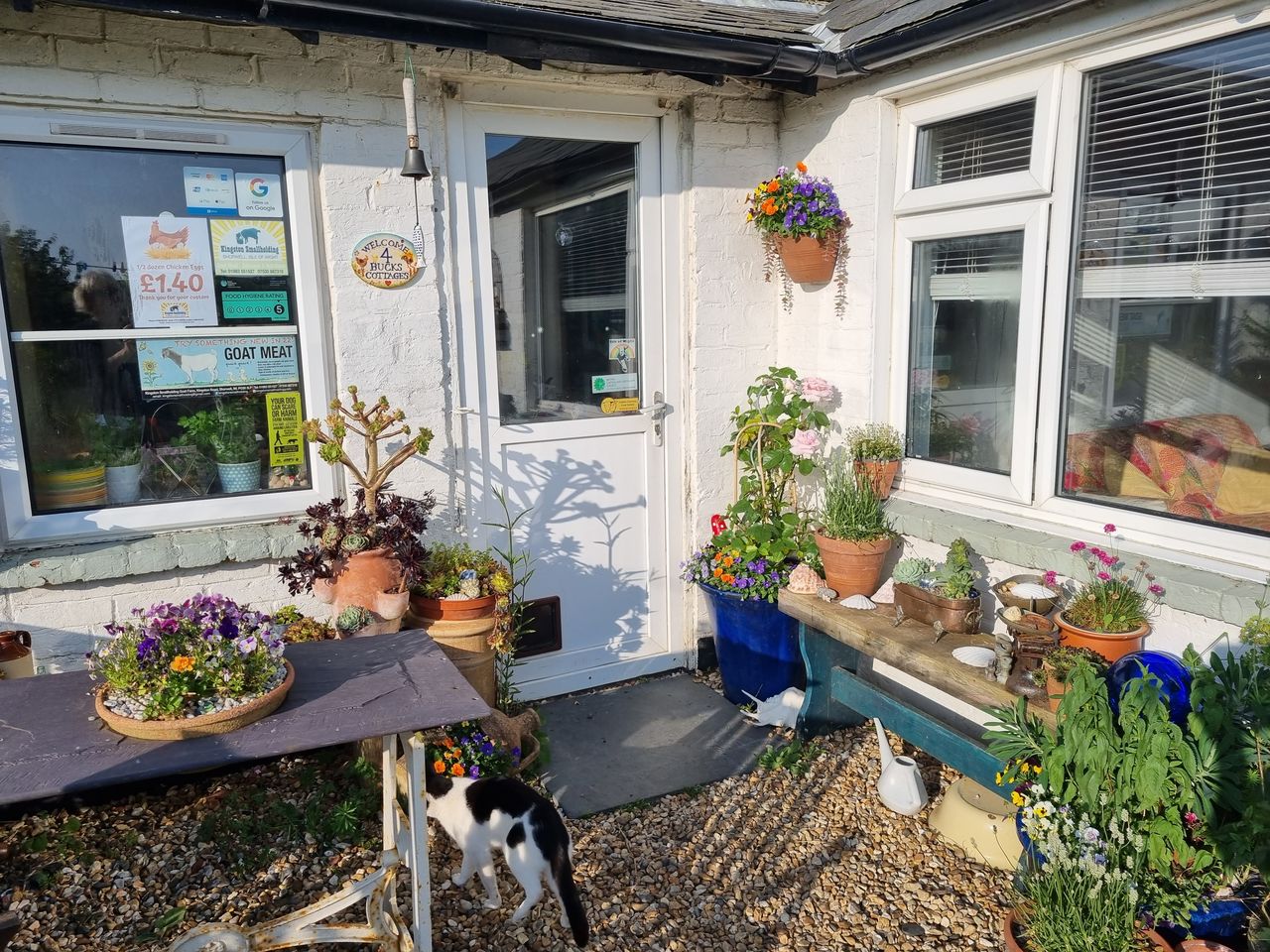 Kingston Smallholding Goat Farm Campsite