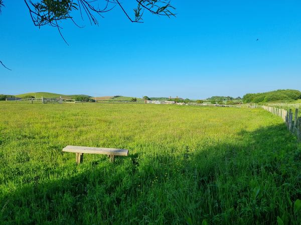 Kingston Smallholding Goat Farm Campsite