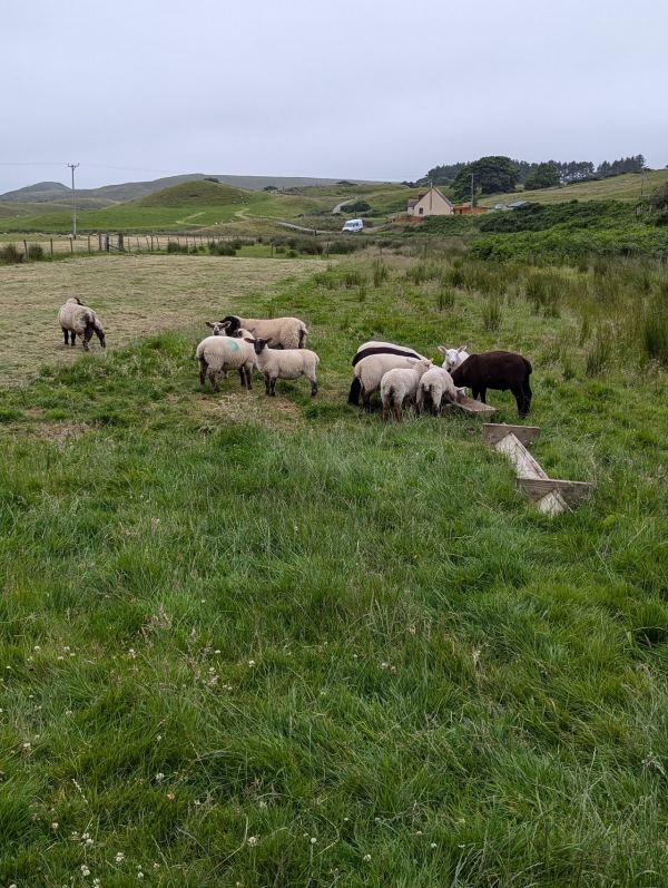 Kirkton Holidays