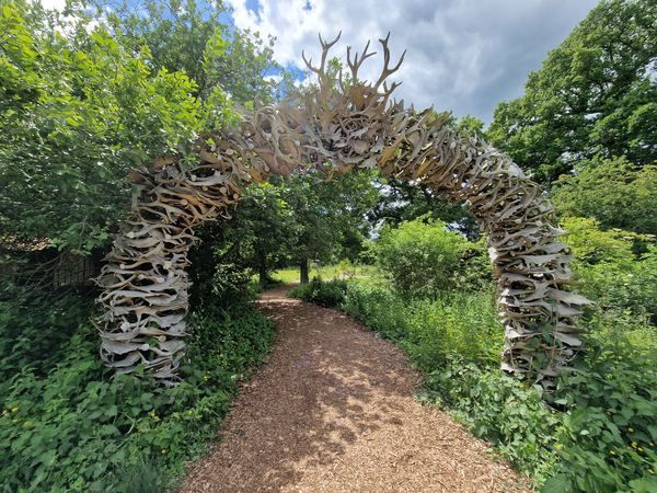 Knepp Safaris