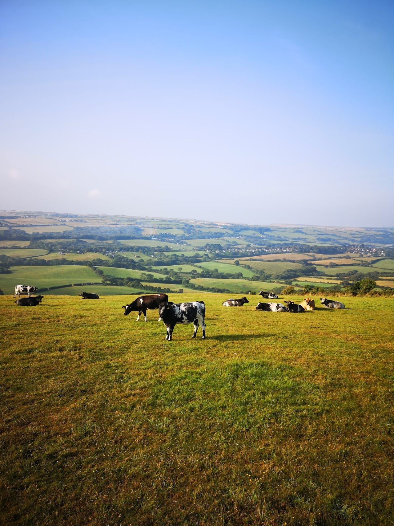 Knitson Farm Tourers