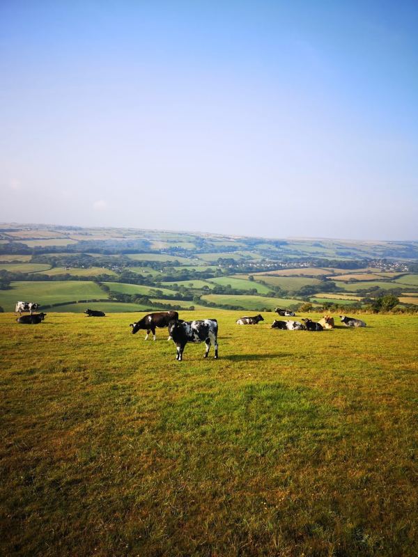 Knitson Farm Tourers