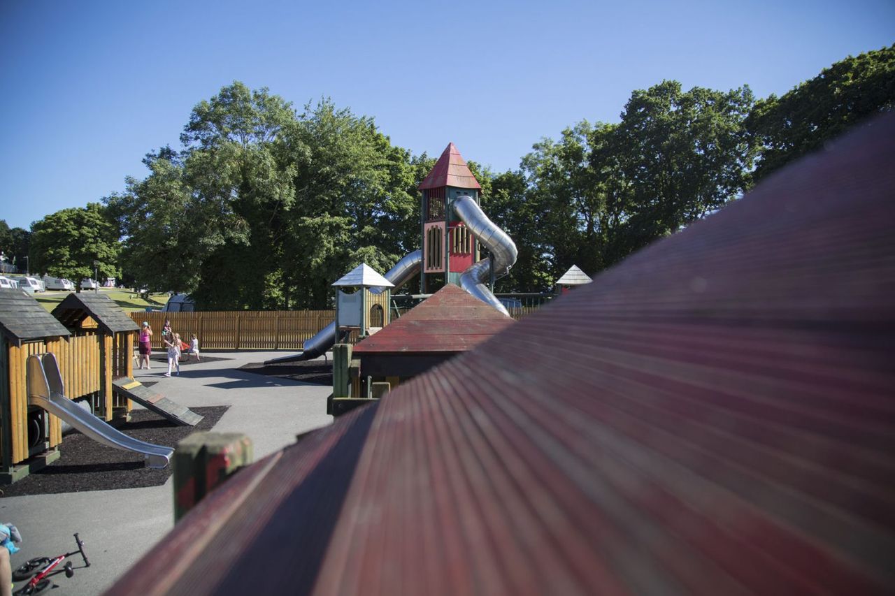 Lady's Mile Holiday Park
