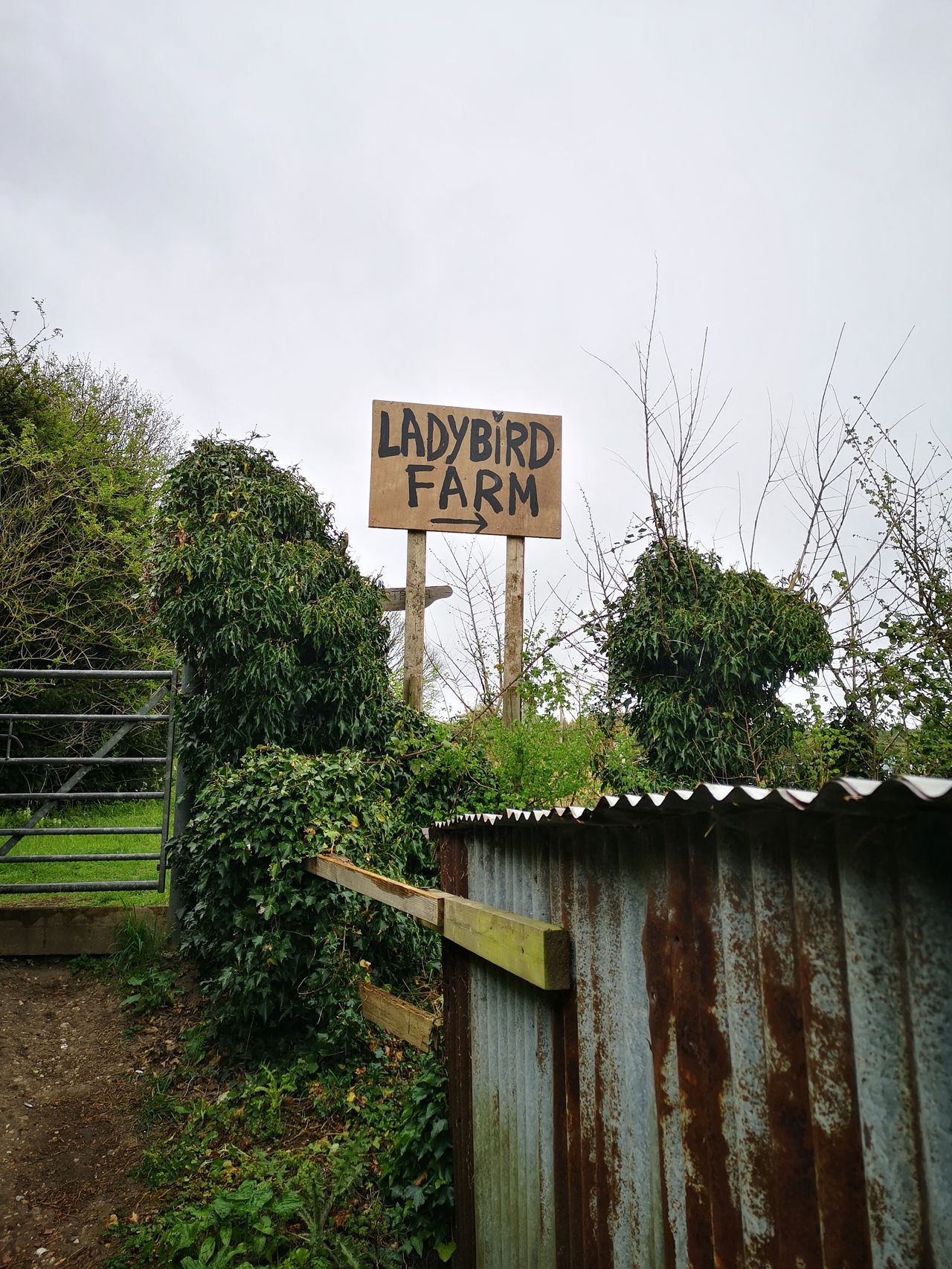 Ladybird Farm