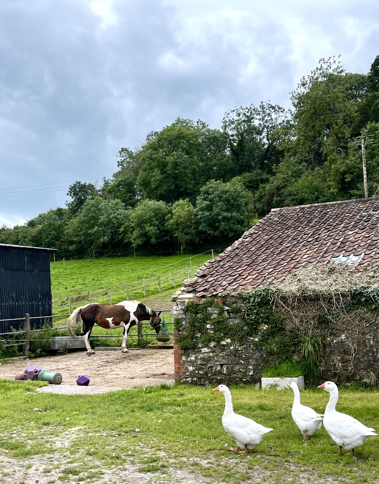 Lane End Camping