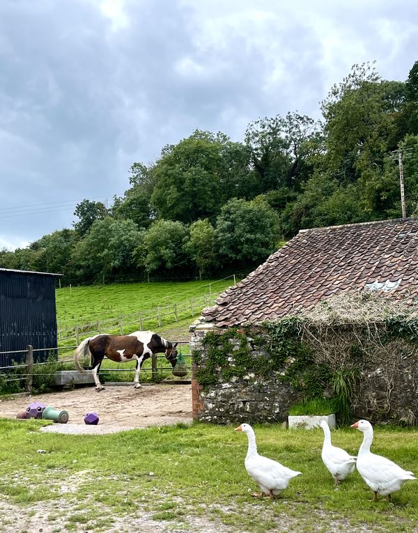 Lane End Camping