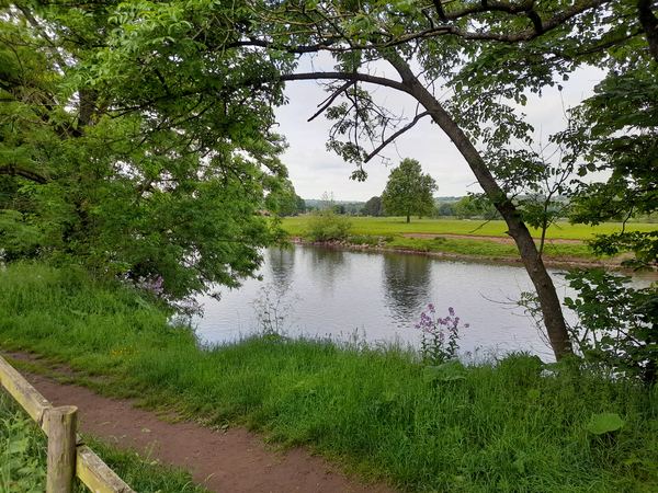 Lazonby Campsite