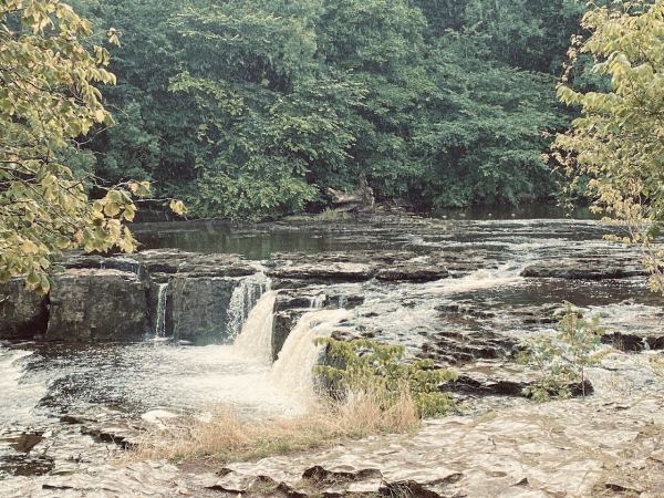 Leyburn Caravan Park