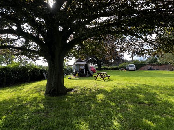 Lilling Hall Farm