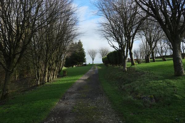Lime Tree Holiday Park