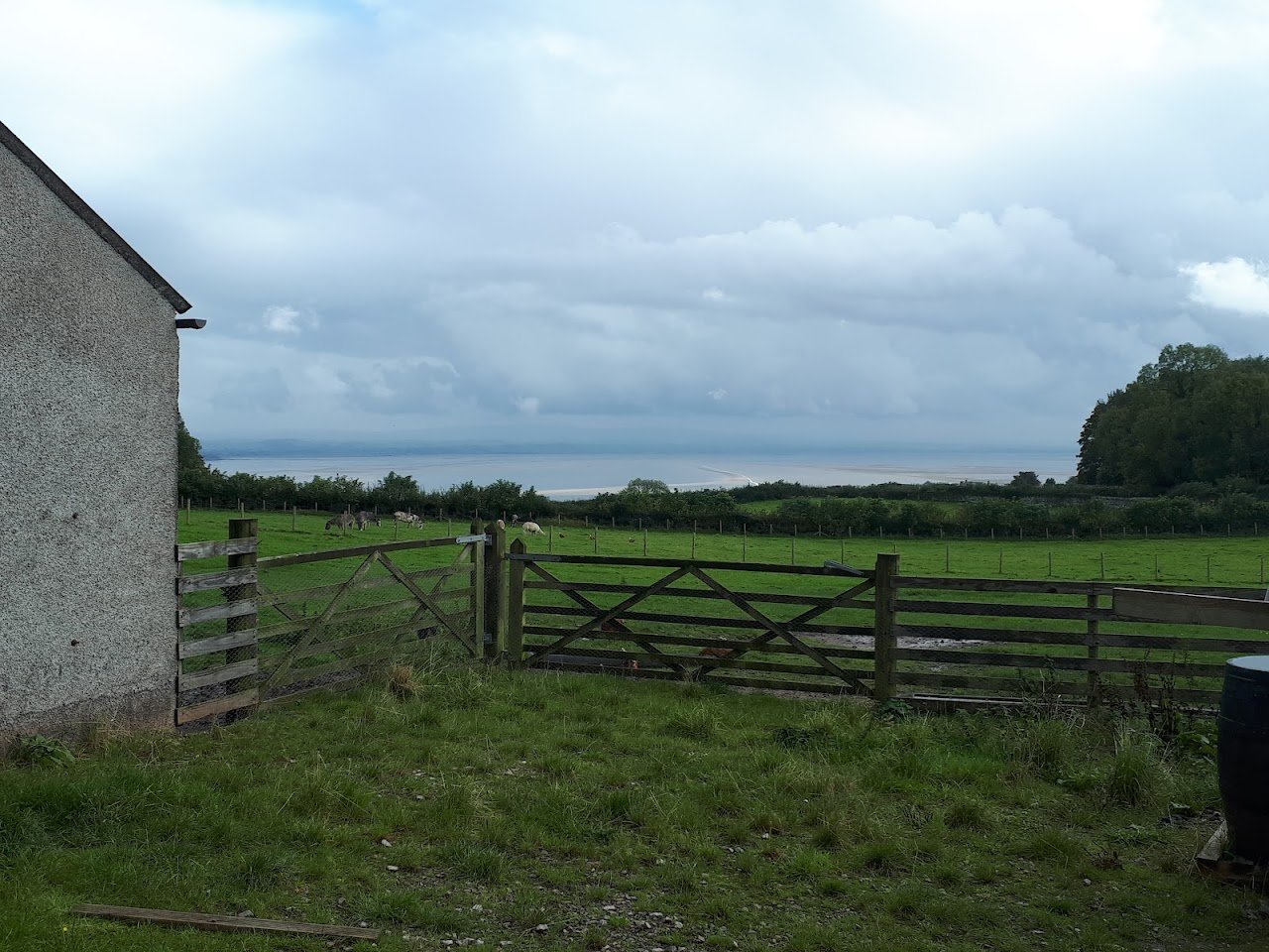 Lingwood Park