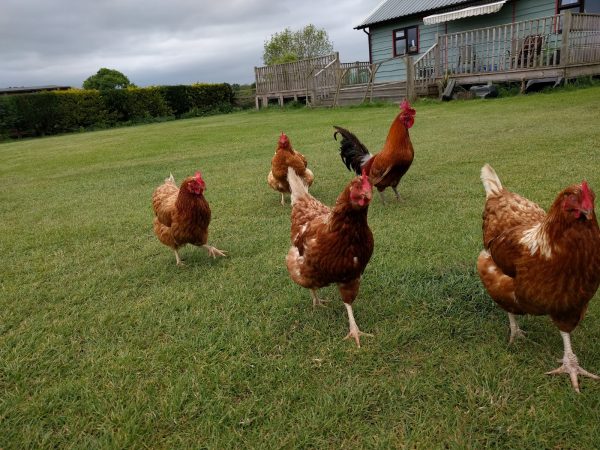 Little Gosford Farm Certificated Location