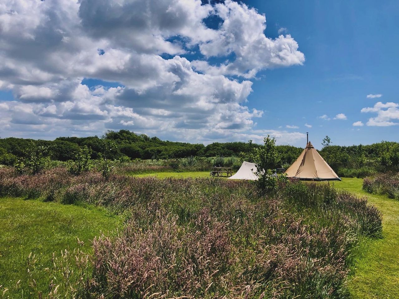 Little Haven Campsite