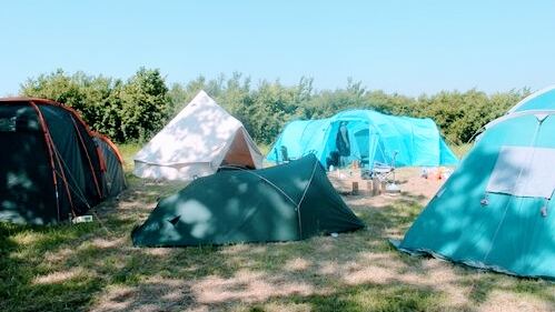 Little Rodmore Camping