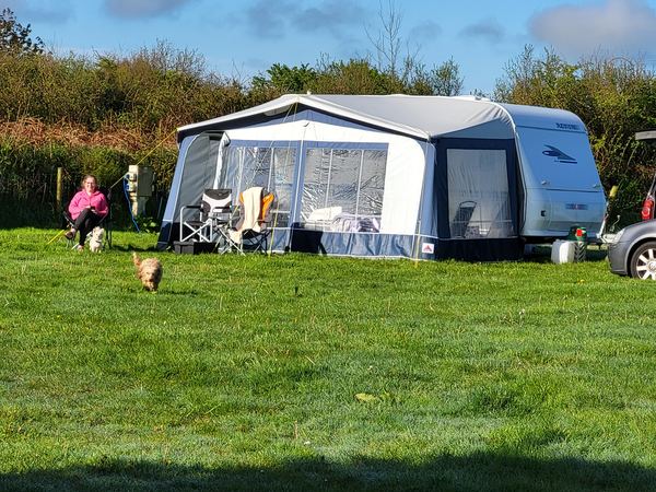 Little Shelfin Farm Camping