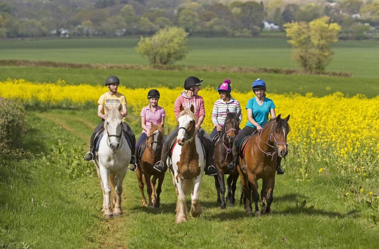 Llangorse Multi Activity Centre