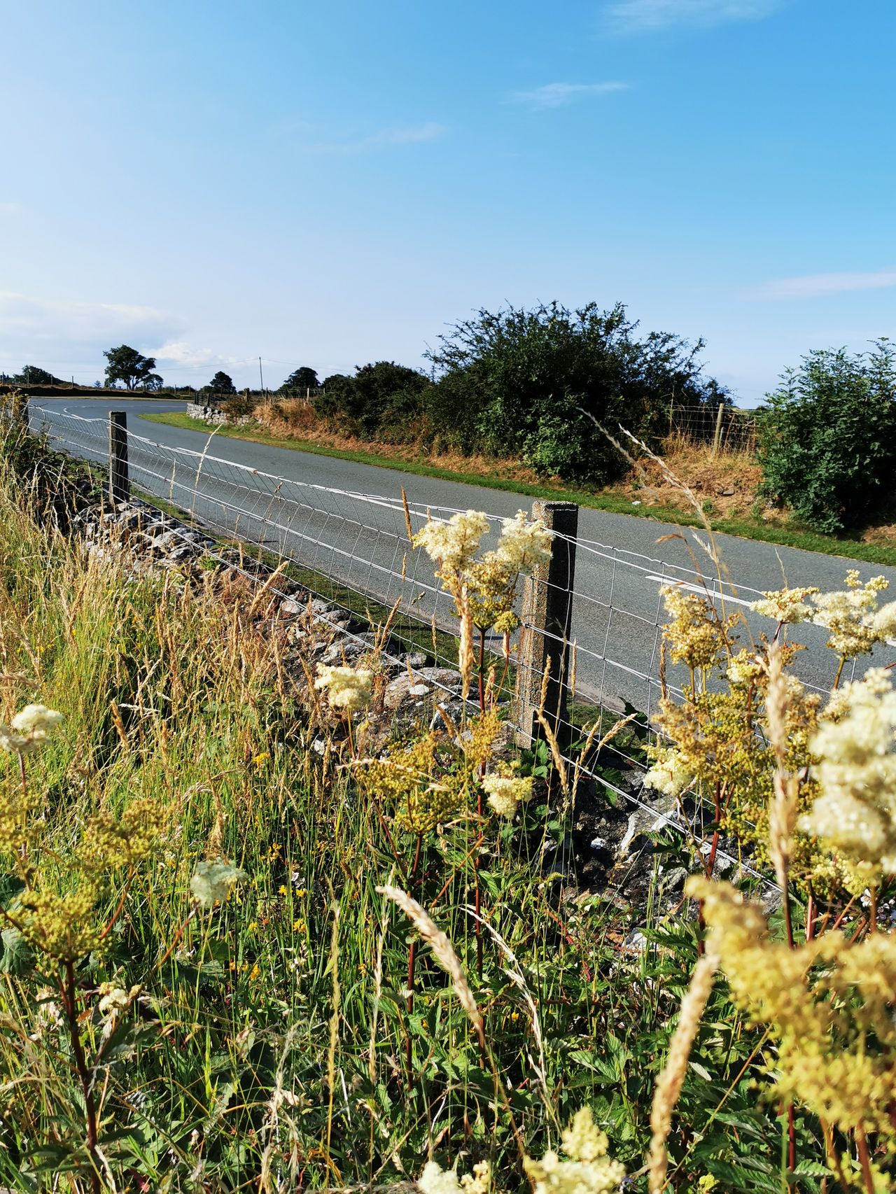 Llwyn Bugeilydd Caravan and Camping Site