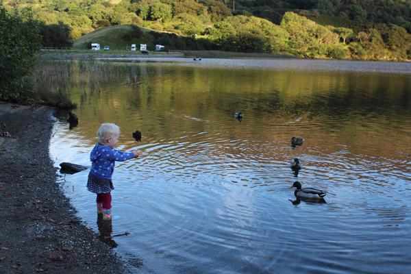 Llyn Gwynant Campsite