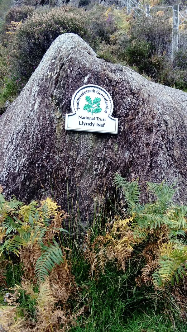 Llyndy Isaf