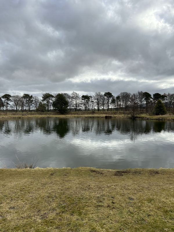Loch Insch Trout Fishery Certificated Location