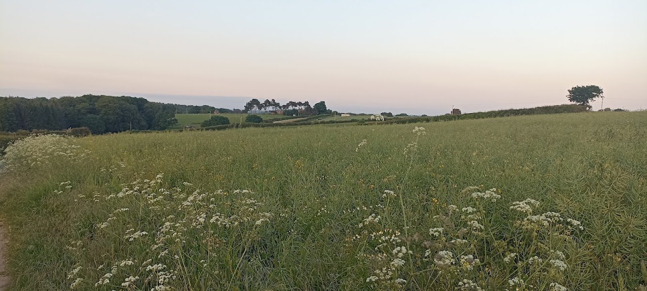 Lodge Farm Certificated Site