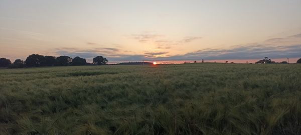 Lodge Farm Certificated Site