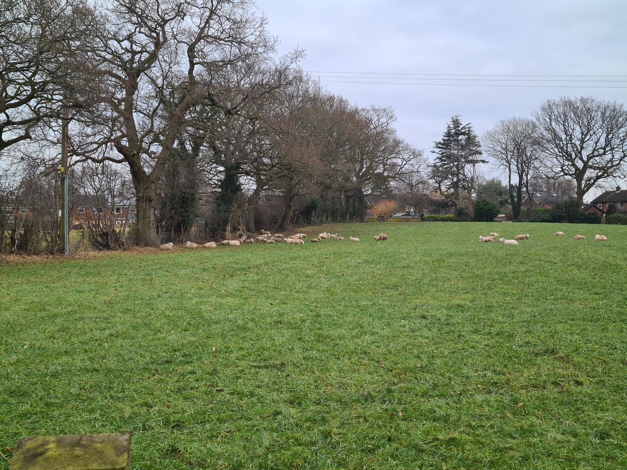 Longfield Farm