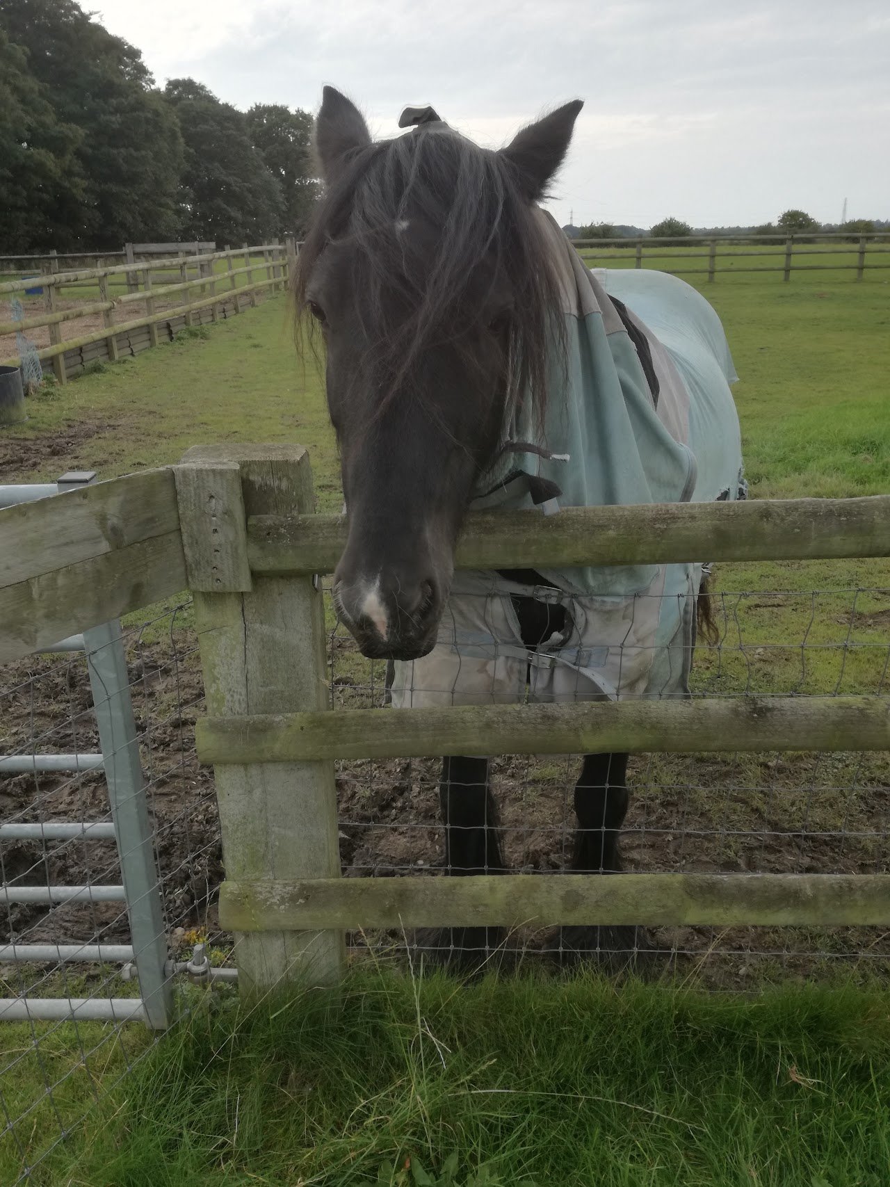 Longfold Farm Certificated Site