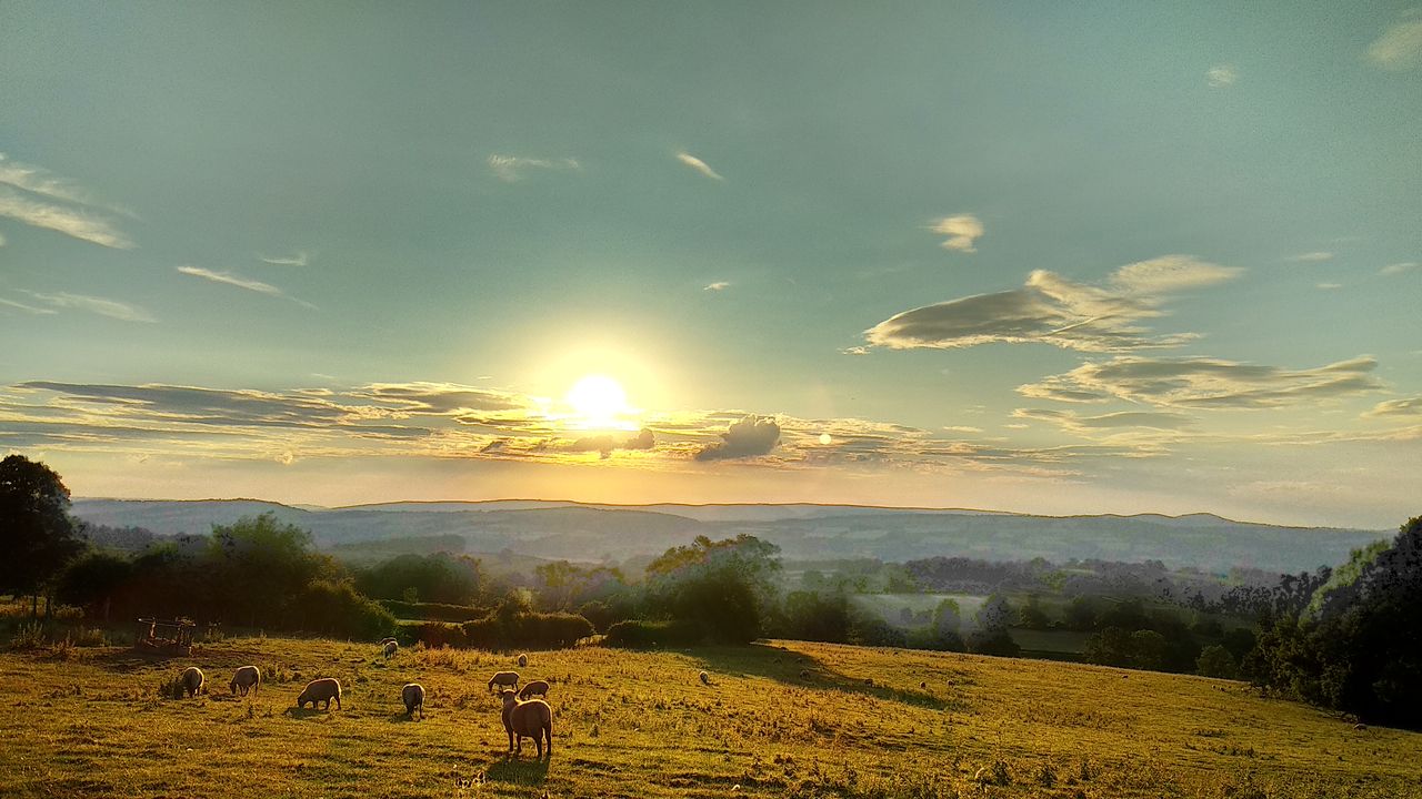 Longview Farm