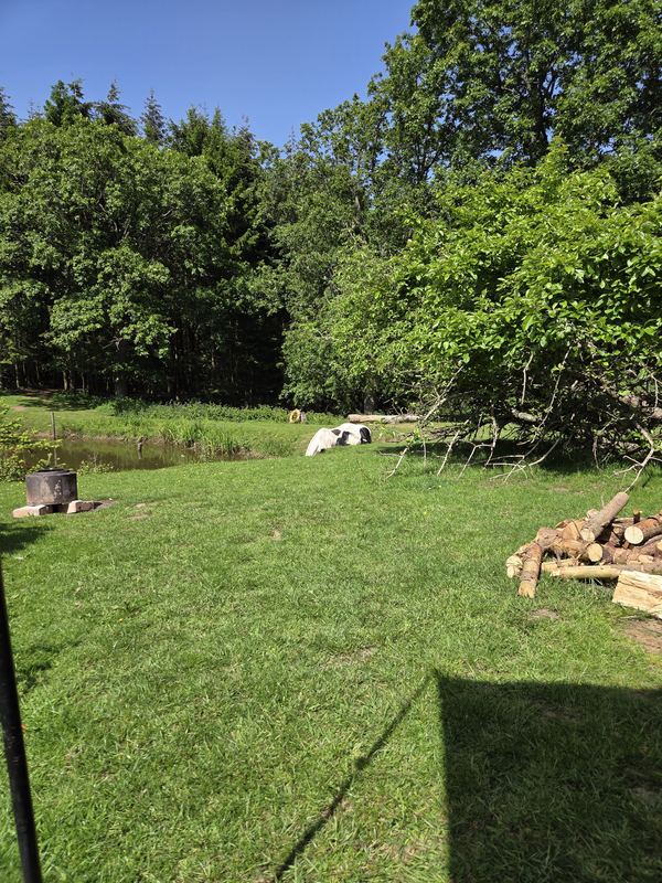Lucy's Farm