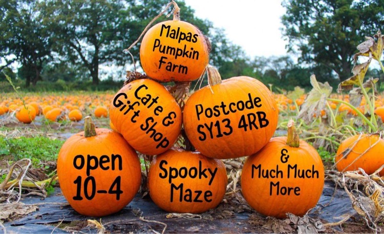 Magical Malpas PYO Farm