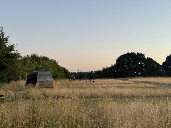 Magpie Meadow