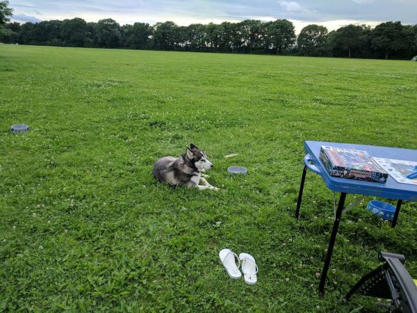 Major Bridge Park Campsite