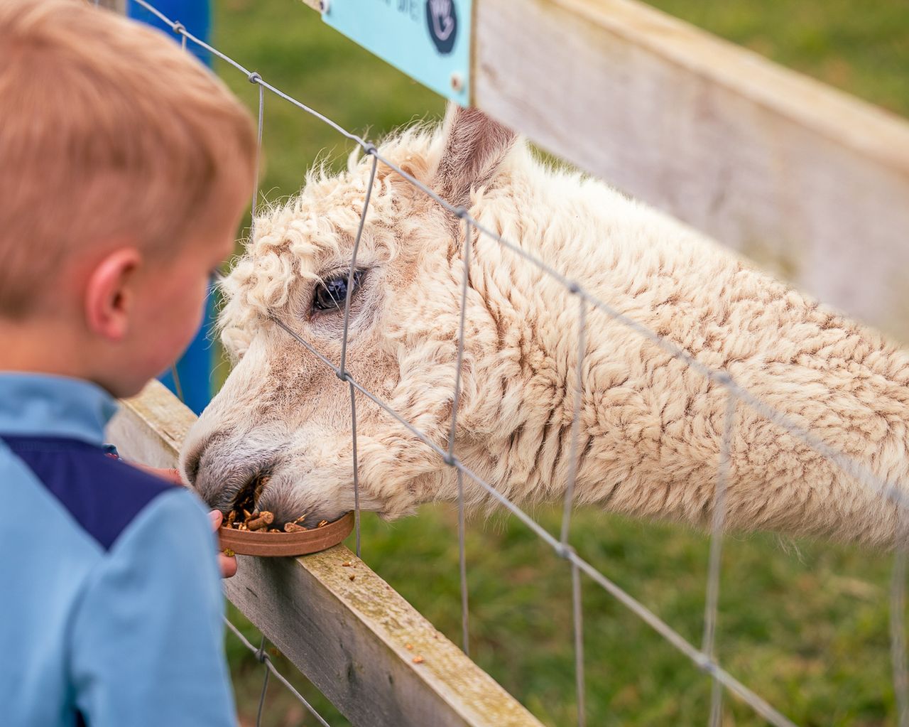 Manorafon Farm