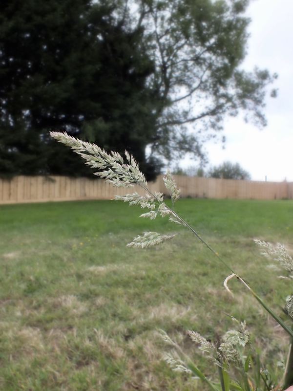 Masterland Farm Caravan, Camping and Pod Park