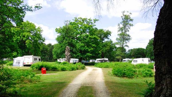Matley Wood Campsite