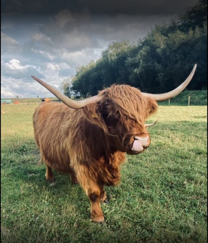 Matlock Farm Park Camping