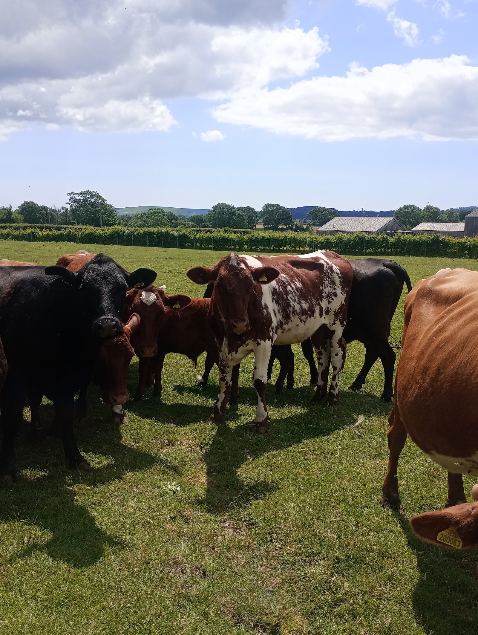 Mays Farm