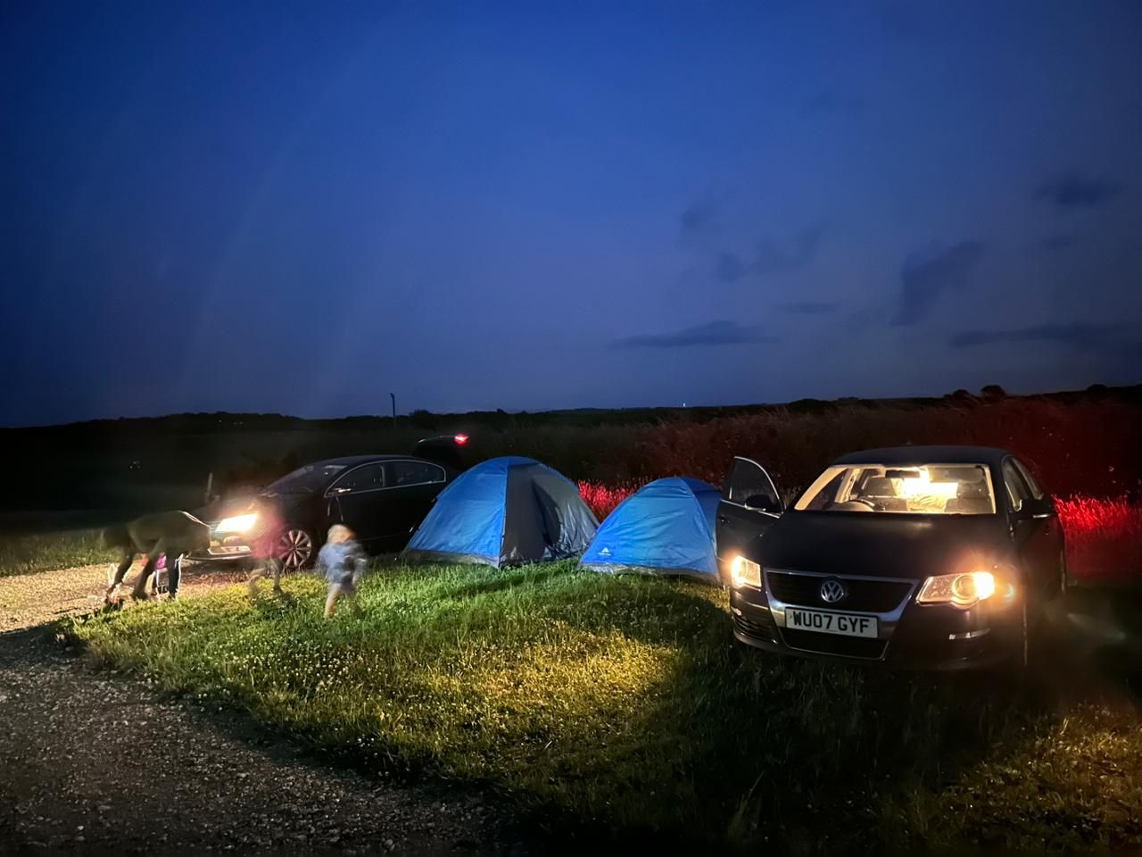 Meadow Farm Camping