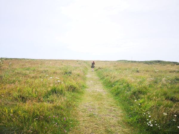Meadow Farm Caravan and Camping Park